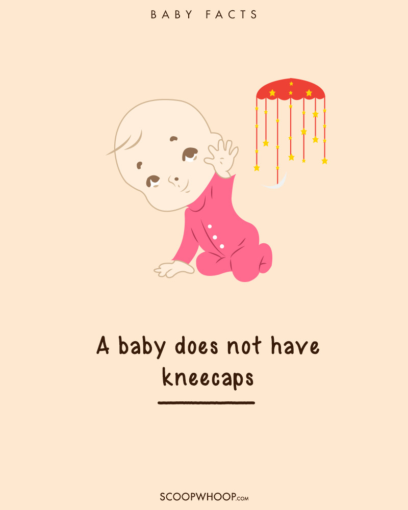 Picture 12 of 19 interesting facts about babies make adults suddenly fall back