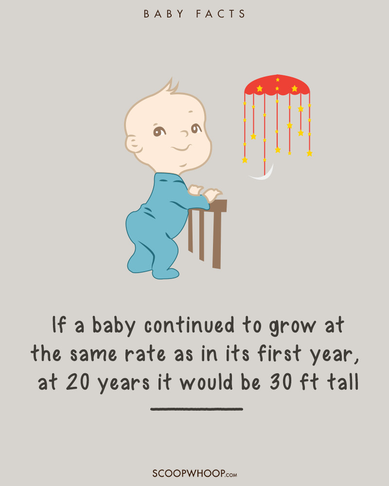 Picture 15 of 19 interesting facts about babies make adults suddenly fall back