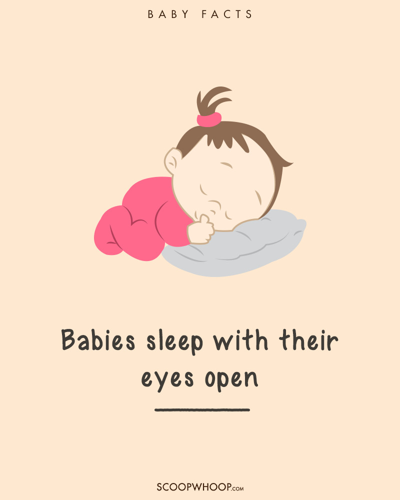 Picture 19 of 19 interesting facts about babies make adults suddenly fall back