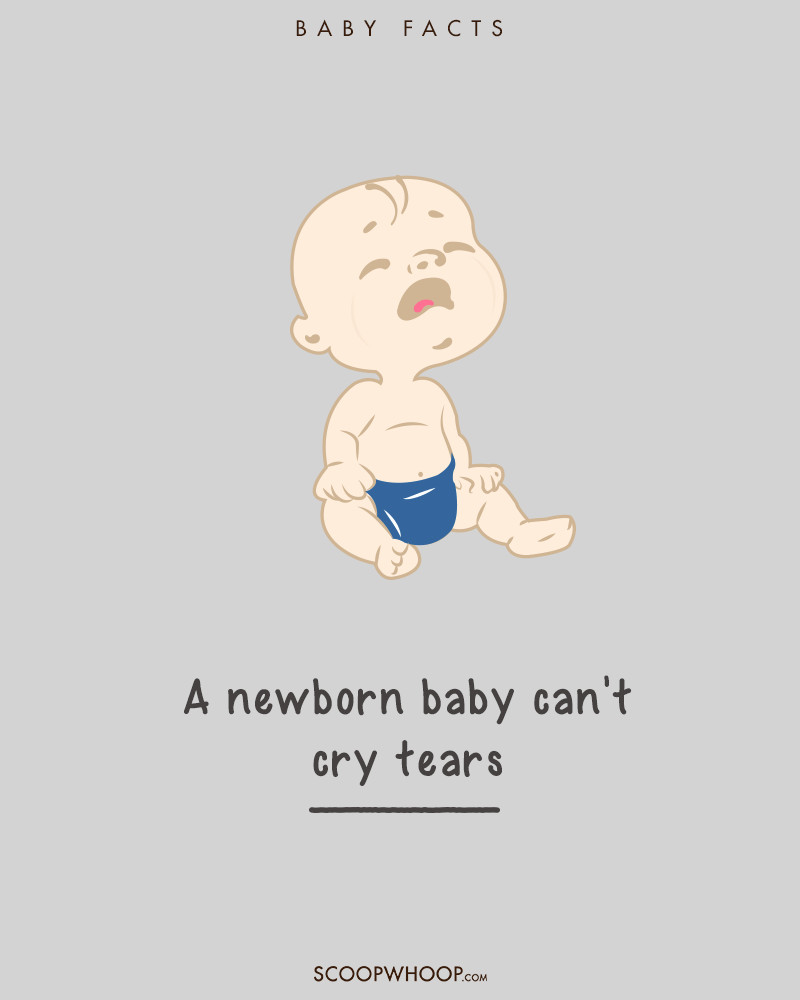 Picture 6 of 19 interesting facts about babies make adults suddenly fall back
