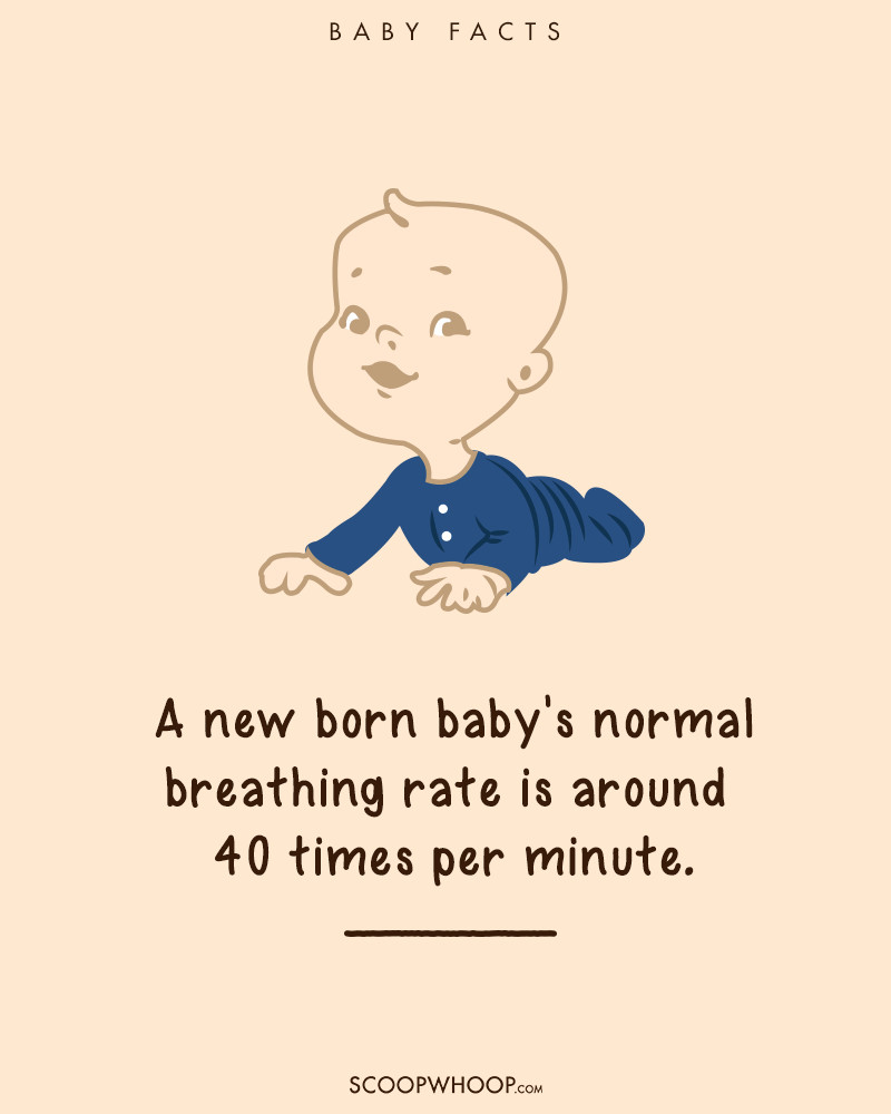 Picture 8 of 19 interesting facts about babies make adults suddenly fall back