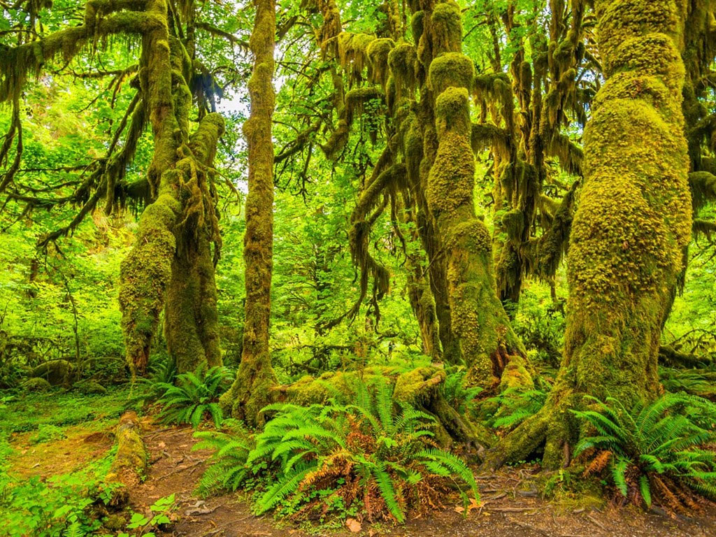 Picture 9 of 19 most beautiful destinations in America everyone wants to come once
