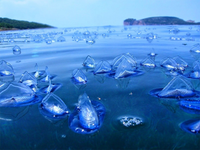 Picture 14 of 19 mysterious natural phenomena challenging science