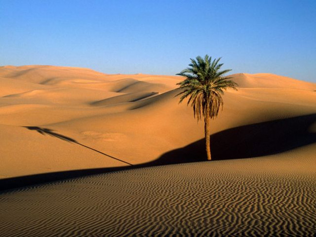 Picture 19 of 20 amazing discoveries about countries around the world