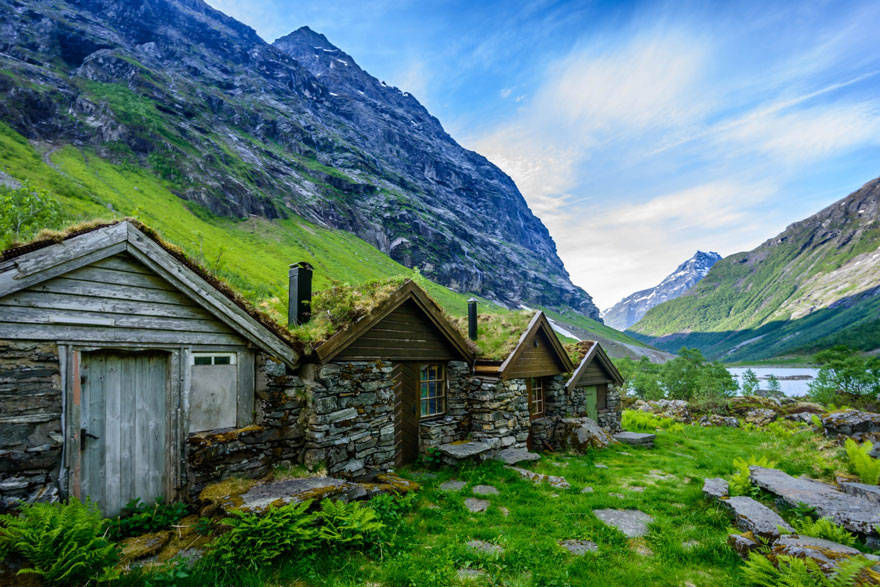 Picture 12 of 20 beautiful green roofs like in fairy tales in Scandinavia