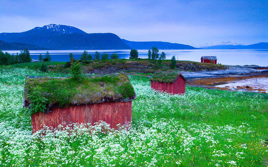 Picture 17 of 20 beautiful green roofs like in fairy tales in Scandinavia