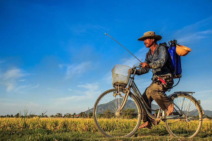 Picture 9 of 20 beautiful pictures about Vietnam
