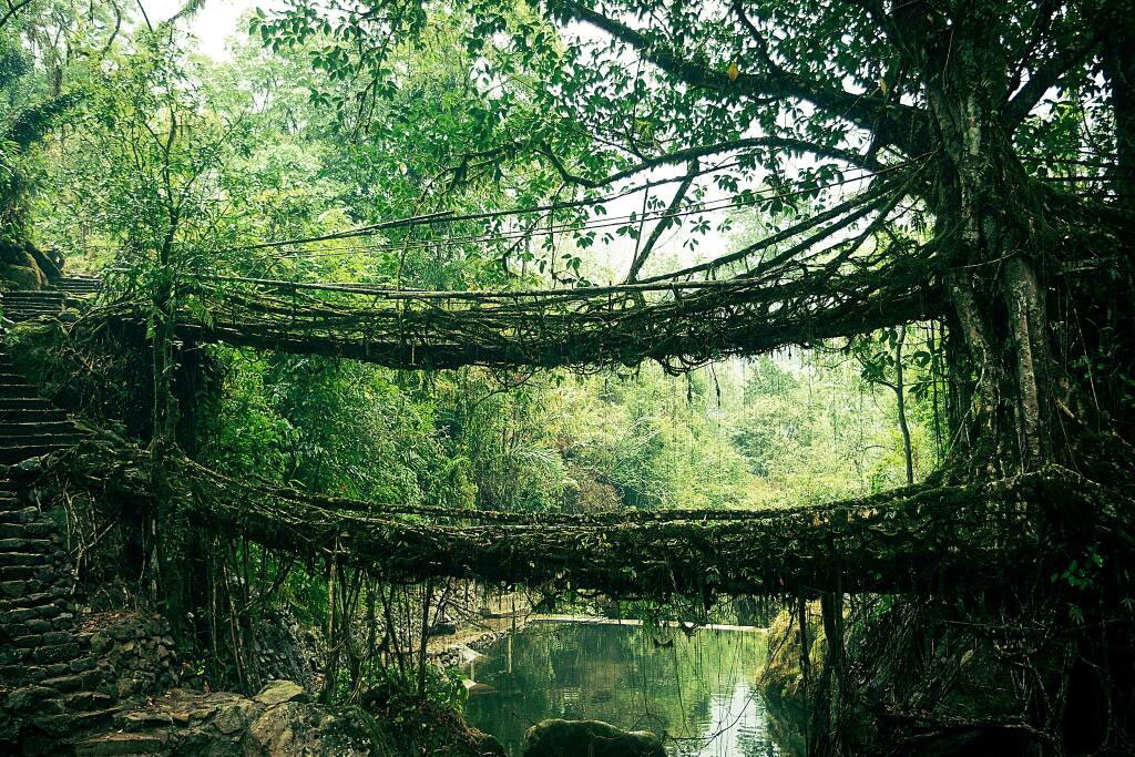 Picture 14 of 20 colored bridges take you into another world