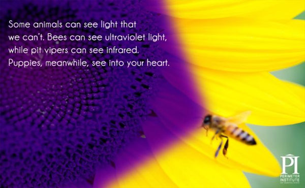 Picture 10 of 20 interesting information about lighting you may not know