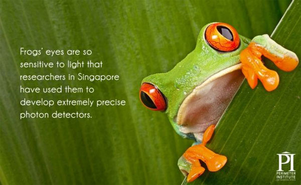 Picture 13 of 20 interesting information about lighting you may not know