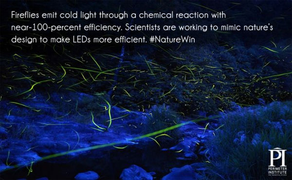 Picture 15 of 20 interesting information about lighting you may not know