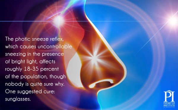 Picture 8 of 20 interesting information about lighting you may not know