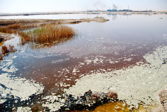 Picture 1 of 20 million Chinese people can poison arsenic