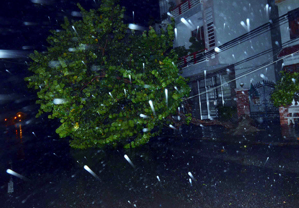 Picture 14 of 20 people died, 17 went missing because of Hurricane Damrey