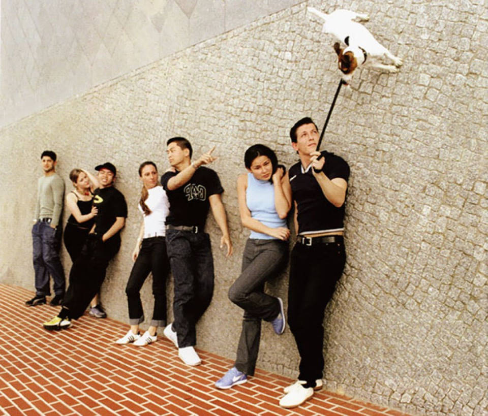 Picture 18 of 20 photos prove just changing the angle of shooting, you will have moments of magic