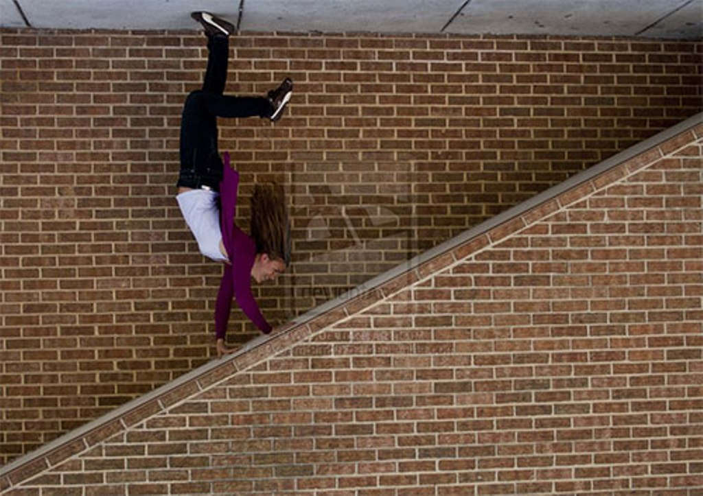 Picture 8 of 20 photos prove just changing the angle of shooting, you will have moments of magic