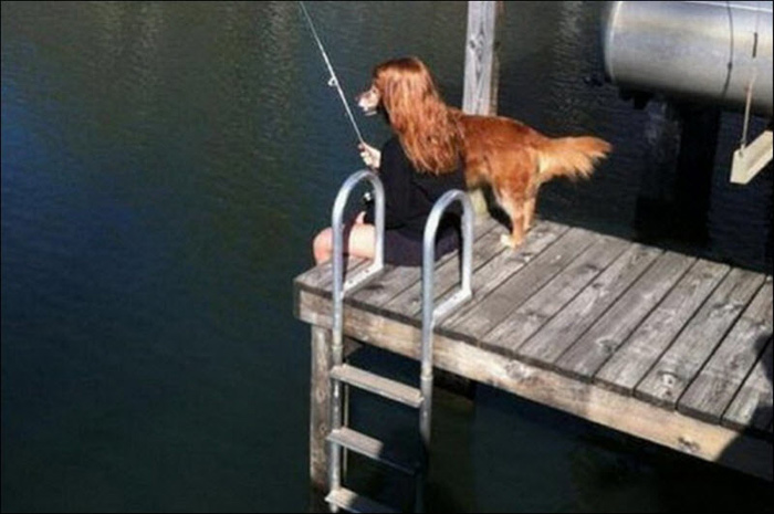 Picture 12 of 20 real fake fake pictures A visual fool made you dizzy