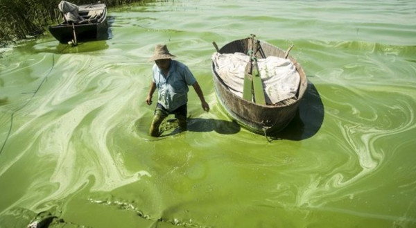 Picture 15 of 20 shocking photos of the devastation of humans on earth