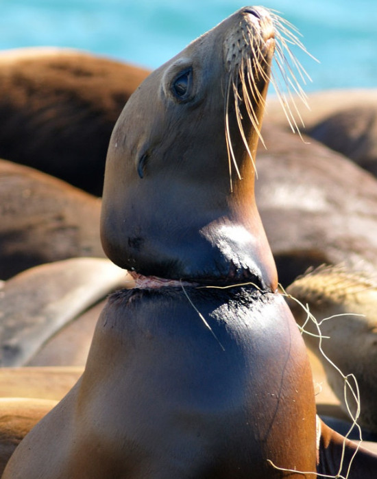 Picture 16 of 20 shocking photos of the devastation of humans on earth