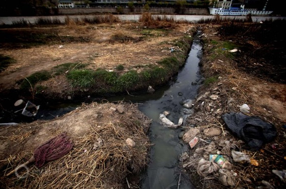 Picture 19 of 20 shocking photos of the devastation of humans on earth