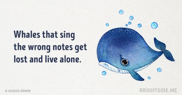 Picture 12 of 20 truths are ridiculous but absolutely right that you are amazed
