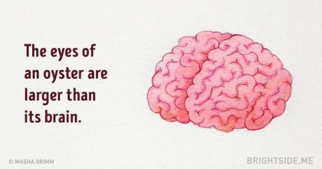 Picture 13 of 20 truths are ridiculous but absolutely right that you are amazed