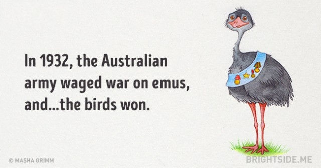 Picture 16 of 20 truths are ridiculous but absolutely right that you are amazed