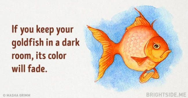 Picture 2 of 20 truths are ridiculous but absolutely right that you are amazed