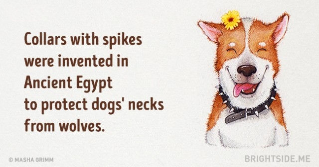 Picture 20 of 20 truths are ridiculous but absolutely right that you are amazed