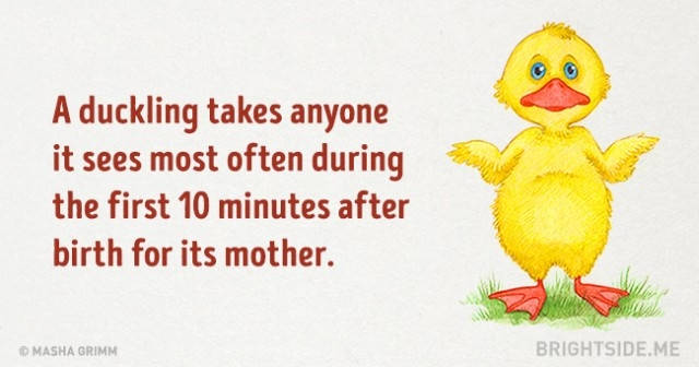 Picture 5 of 20 truths are ridiculous but absolutely right that you are amazed