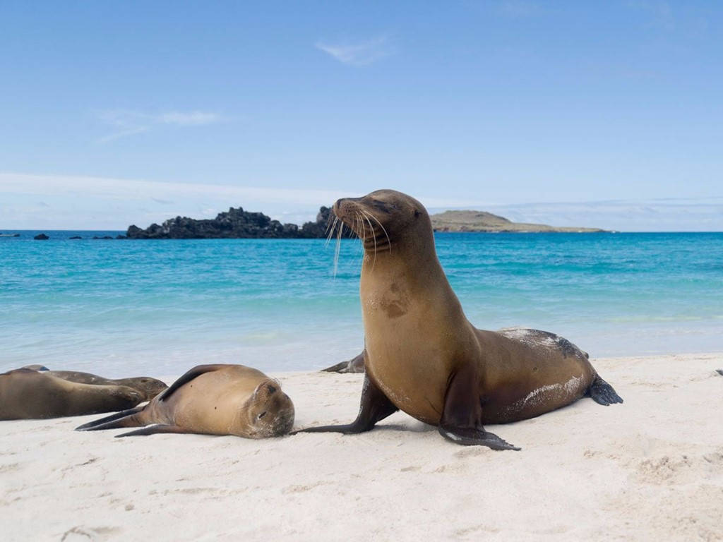 Picture 12 of 20 wonderful beaches must come once in a lifetime