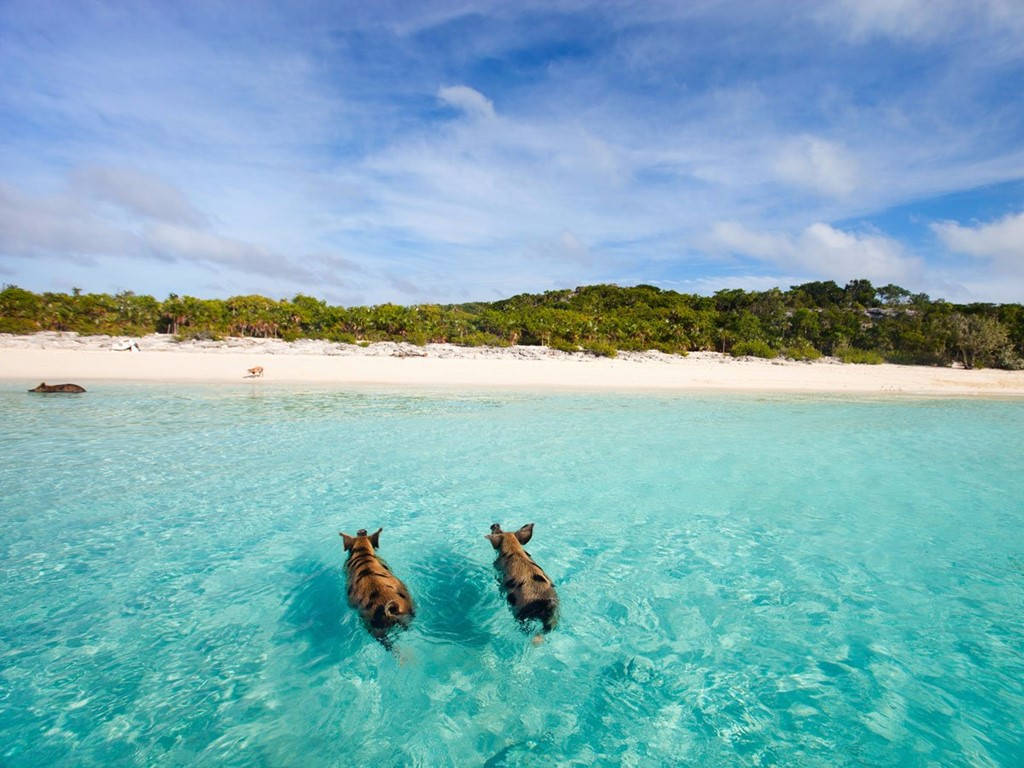Picture 7 of 20 wonderful beaches must come once in a lifetime