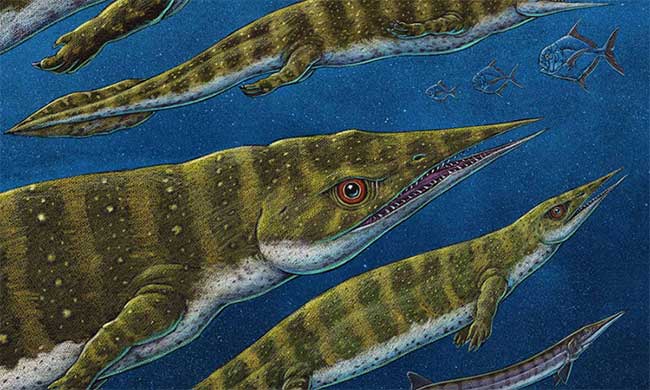 sea lizard dinosaur