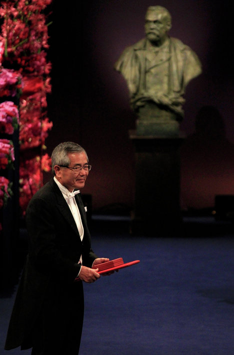 Picture 6 of 2010 Nobel Prize ceremony