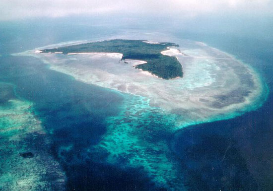 Picture 5 of 2010: The Year of the Earth