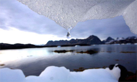 Picture 2 of 2010 will be the hottest year in history?