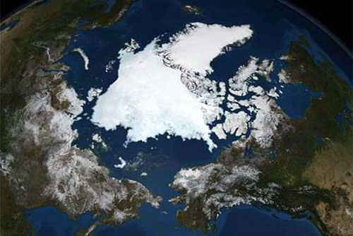 Picture 2 of 2011 Earth Day Human Reminder