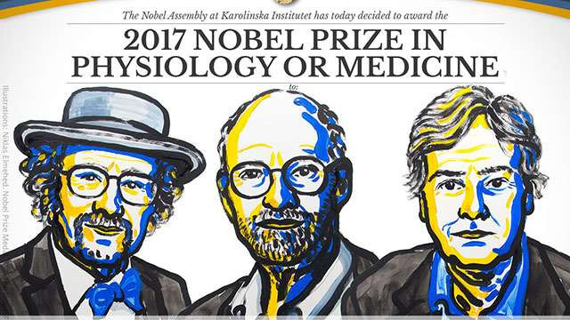 Picture 1 of 2017 Nobel Medicine for discovering the mechanism of biological rhythm control
