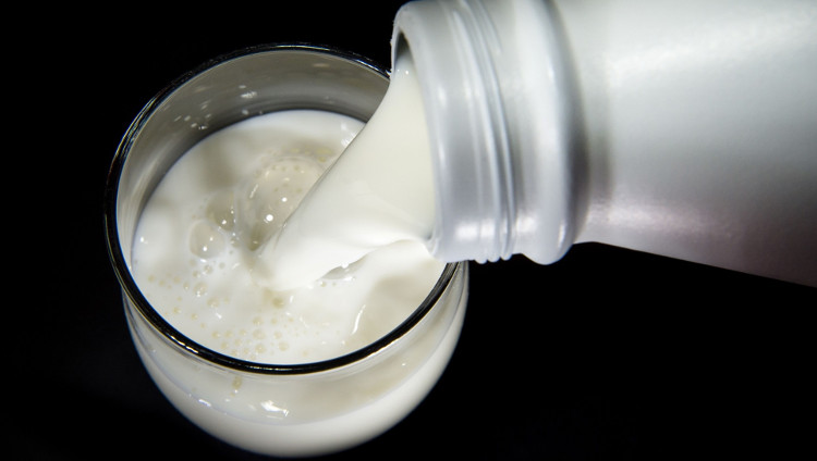 Picture 6 of 2017- Year of head implants, milk processing without cows