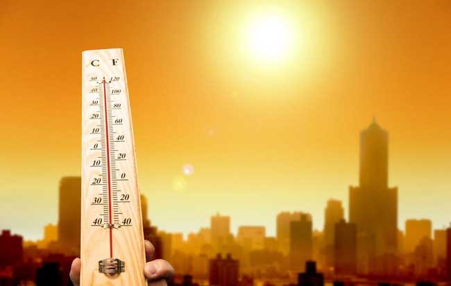 Picture 1 of 2019 will be the hottest year in history: What weather hazards are we facing?