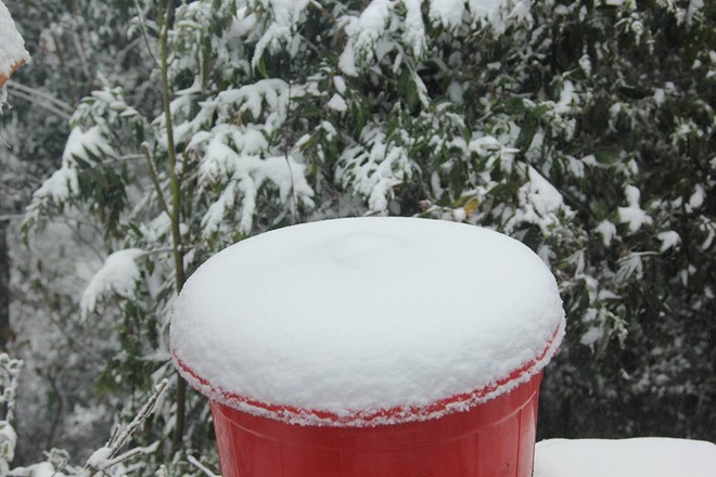 Picture 6 of 20cm thick snow first appeared in Nghe An