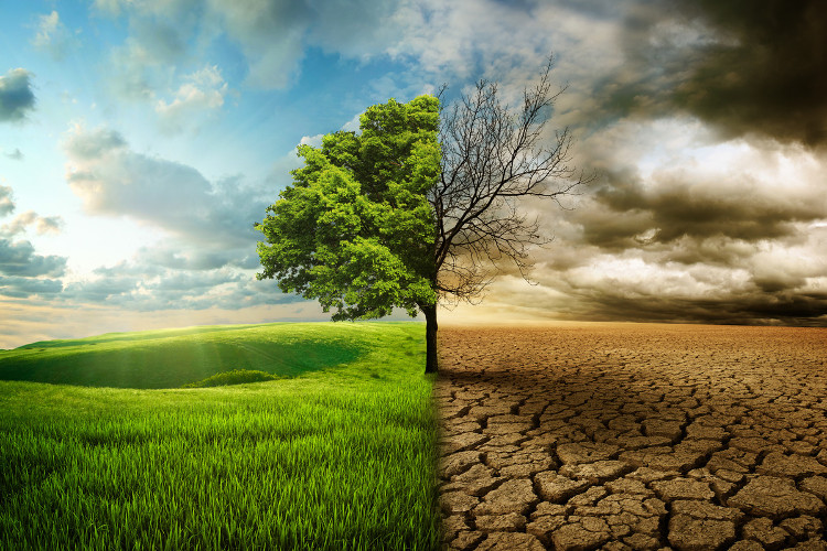 Picture 7 of 2118: This will be what happens to our world after 100 years