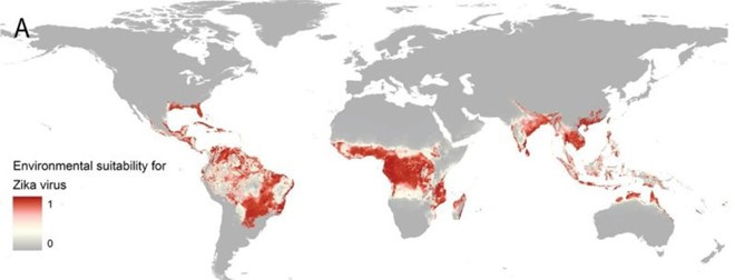 Picture 1 of 2.2 billion people live in risk areas into Zika outbreak