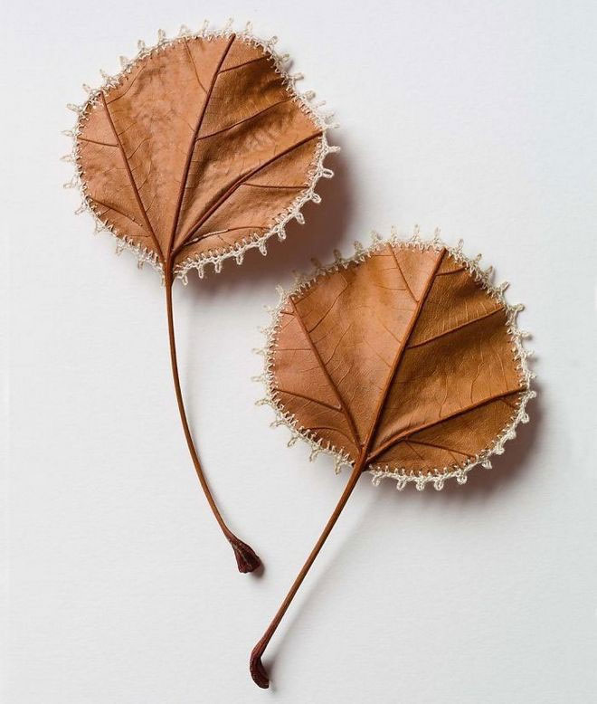 Picture 18 of 23 unique works show that leaves can also become artistic masterpieces