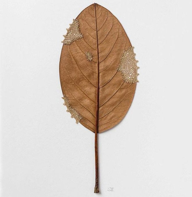 Picture 21 of 23 unique works show that leaves can also become artistic masterpieces