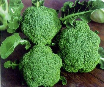 Picture 1 of 24 types of foods to prevent skin aging
