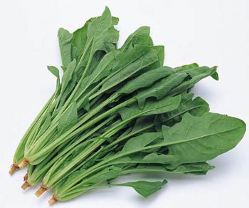 Picture 2 of 24 types of foods to prevent skin aging