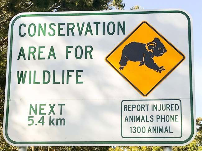 Picture 12 of 25 weird images only in Australia you need to know if you want to go there