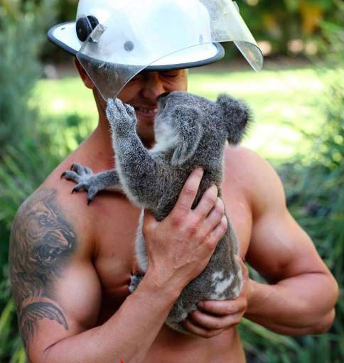 Picture 23 of 25 weird images only in Australia you need to know if you want to go there
