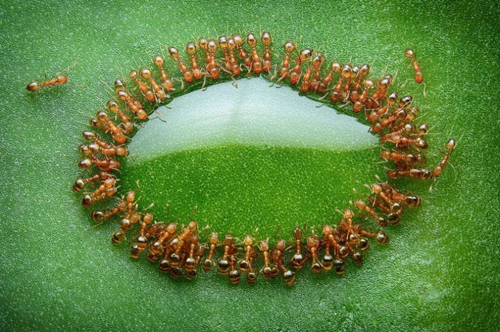 Picture 18 of 26 unbelievably perfect images